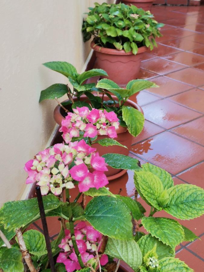 Tropea Home المظهر الخارجي الصورة